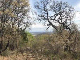 a view of mountain view with large trees