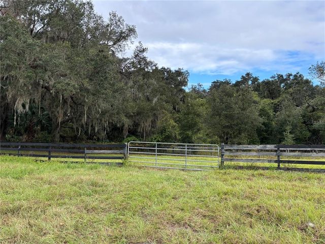 a view of a swimming pool with a yard and large trees