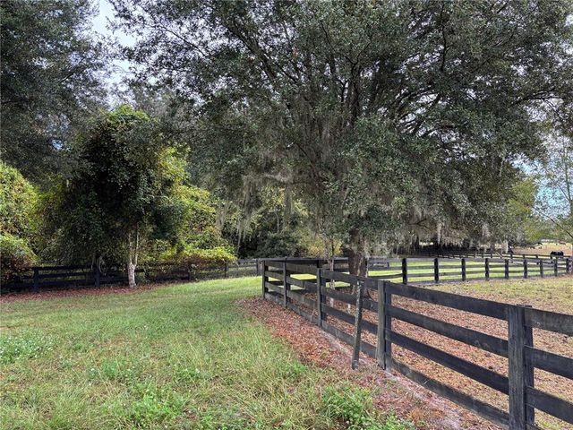 a view of park with bench and trees