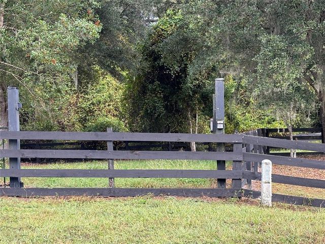 a view of a park with large trees