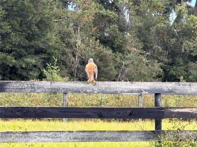 a view of a yard with wooden floor and outdoor seating