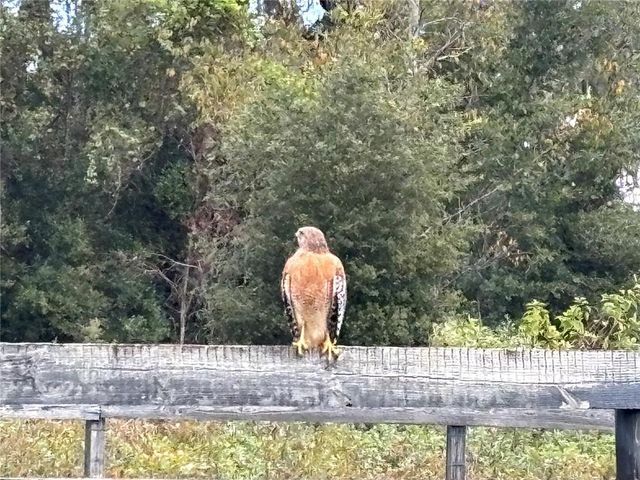a vase of flowers sitting on a table with a garden