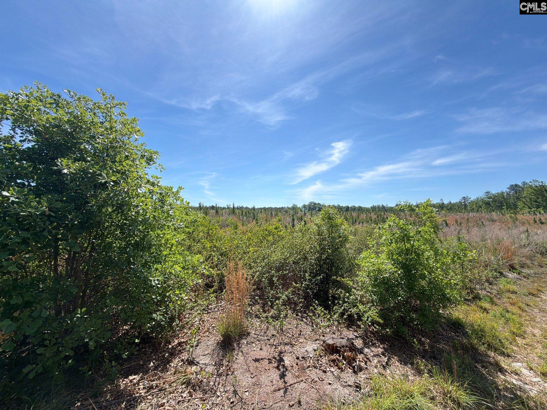 1 Holstein Road Monetta, SC 29105 - Photo 14 of 36