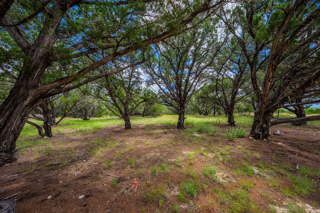 4568 Fm 2828 Bandera, TX 78003 - Photo 6 of 17