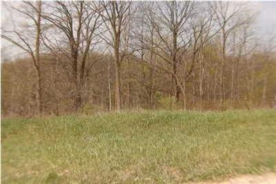 Whites Bridge Road, Unit PAR 1 Belding, MI 48809 - Photo 1 of 1 Primary Photo