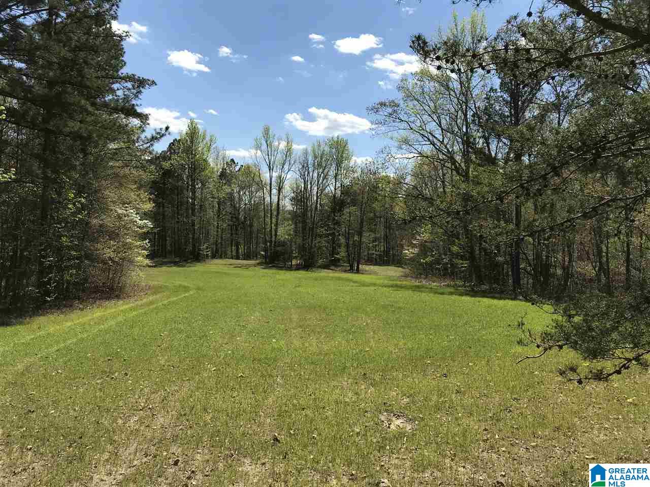 346 Hunters Lane Vandiver, AL 35176 - Photo 7 of 38