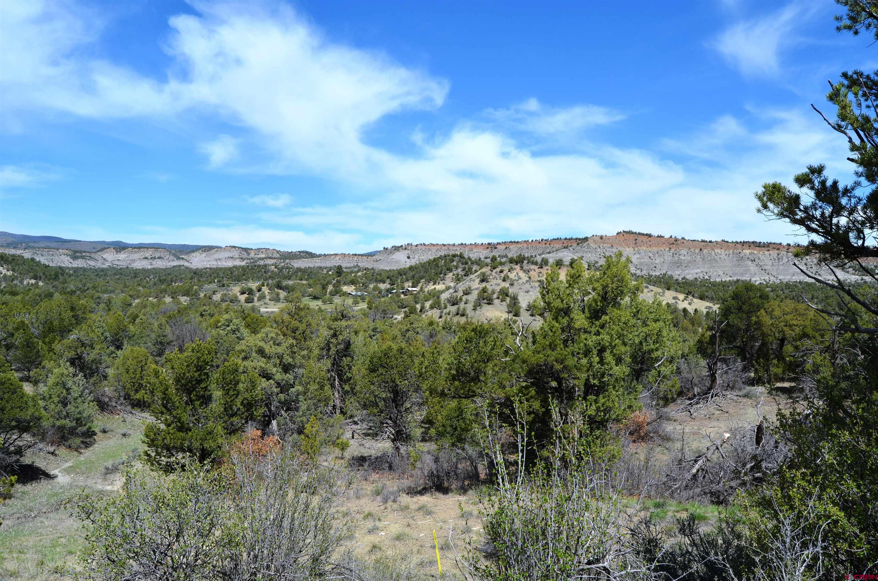1477 La Posta Canyon Road Durango, CO 81303 - Photo 13 of 27 Gallery Image 13
