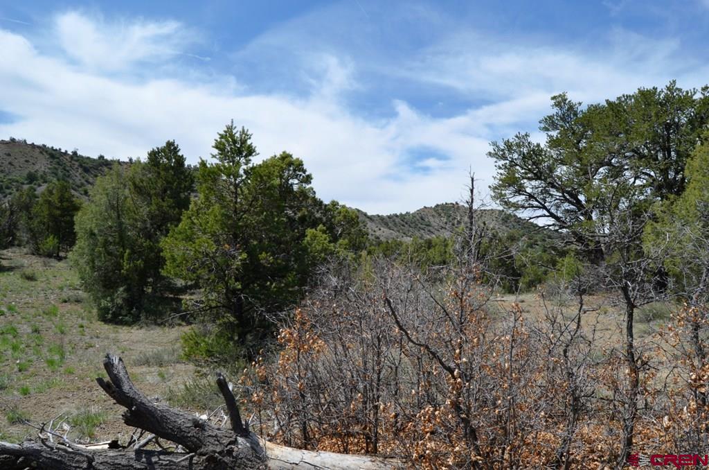 1477 La Posta Canyon Road Durango, CO 81303 - Photo 17 of 27 Gallery Image 17