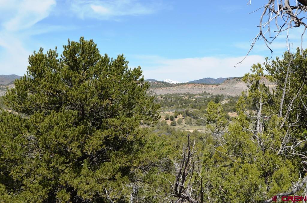 1477 La Posta Canyon Road Durango, CO 81303 - Photo 18 of 27 Gallery Image 18