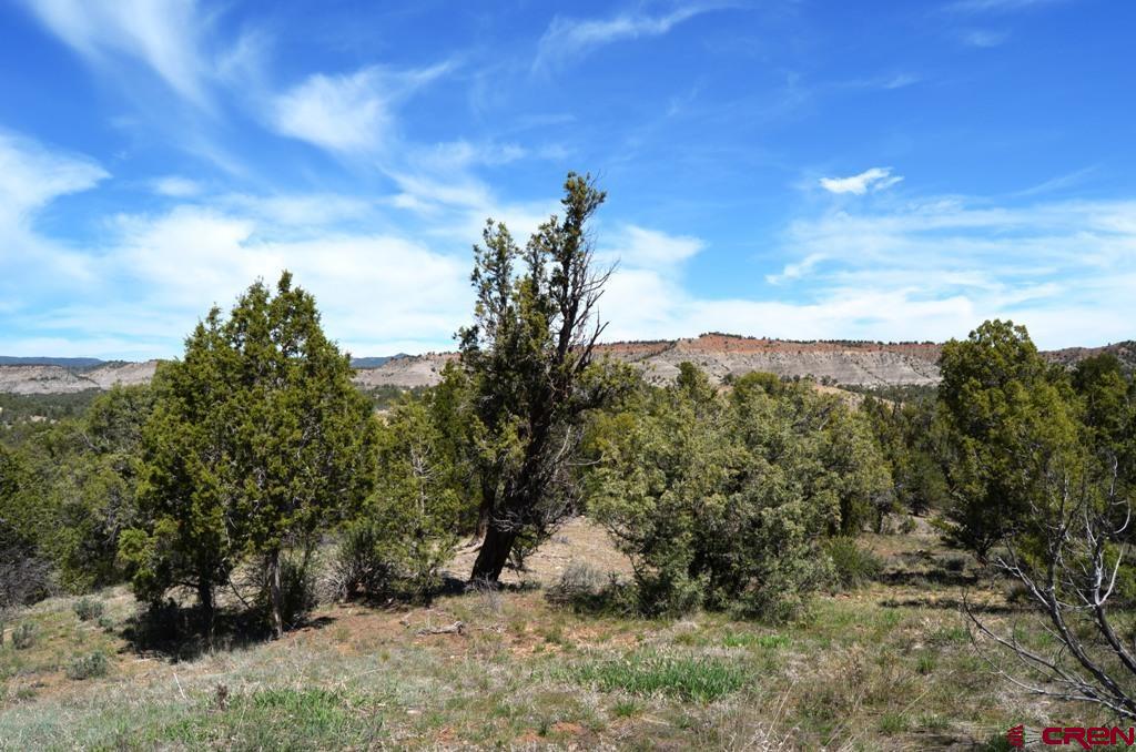 1477 La Posta Canyon Road Durango, CO 81303 - Photo 21 of 27 Gallery Image 21