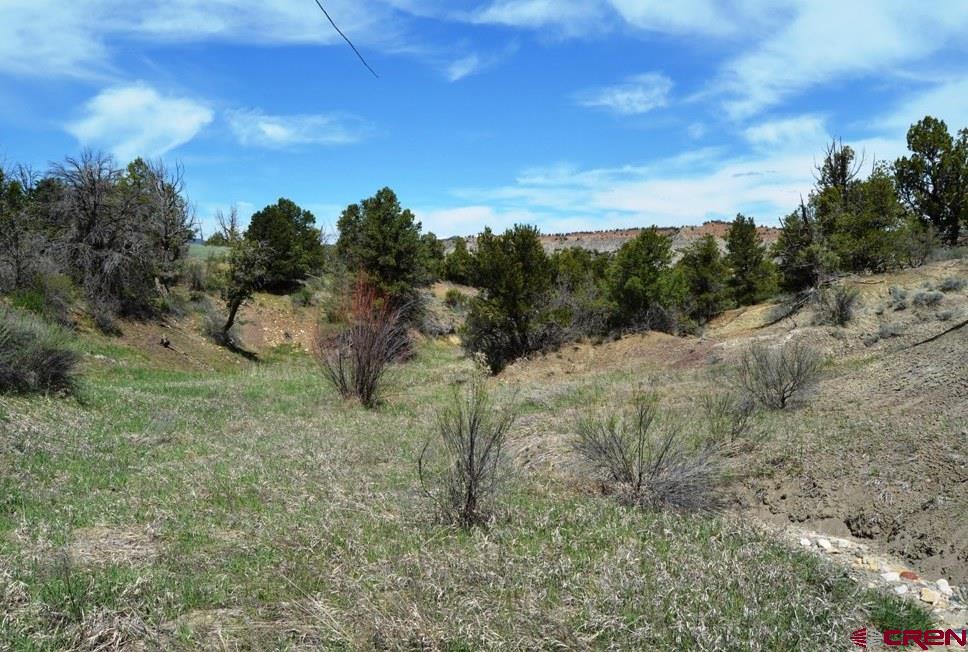 1477 La Posta Canyon Road Durango, CO 81303 - Photo 3 of 27 Gallery Image 3