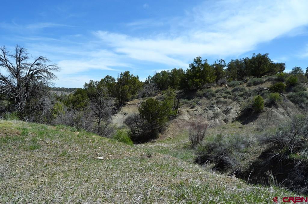 1477 La Posta Canyon Road Durango, CO 81303 - Photo 5 of 27 Gallery Image 5