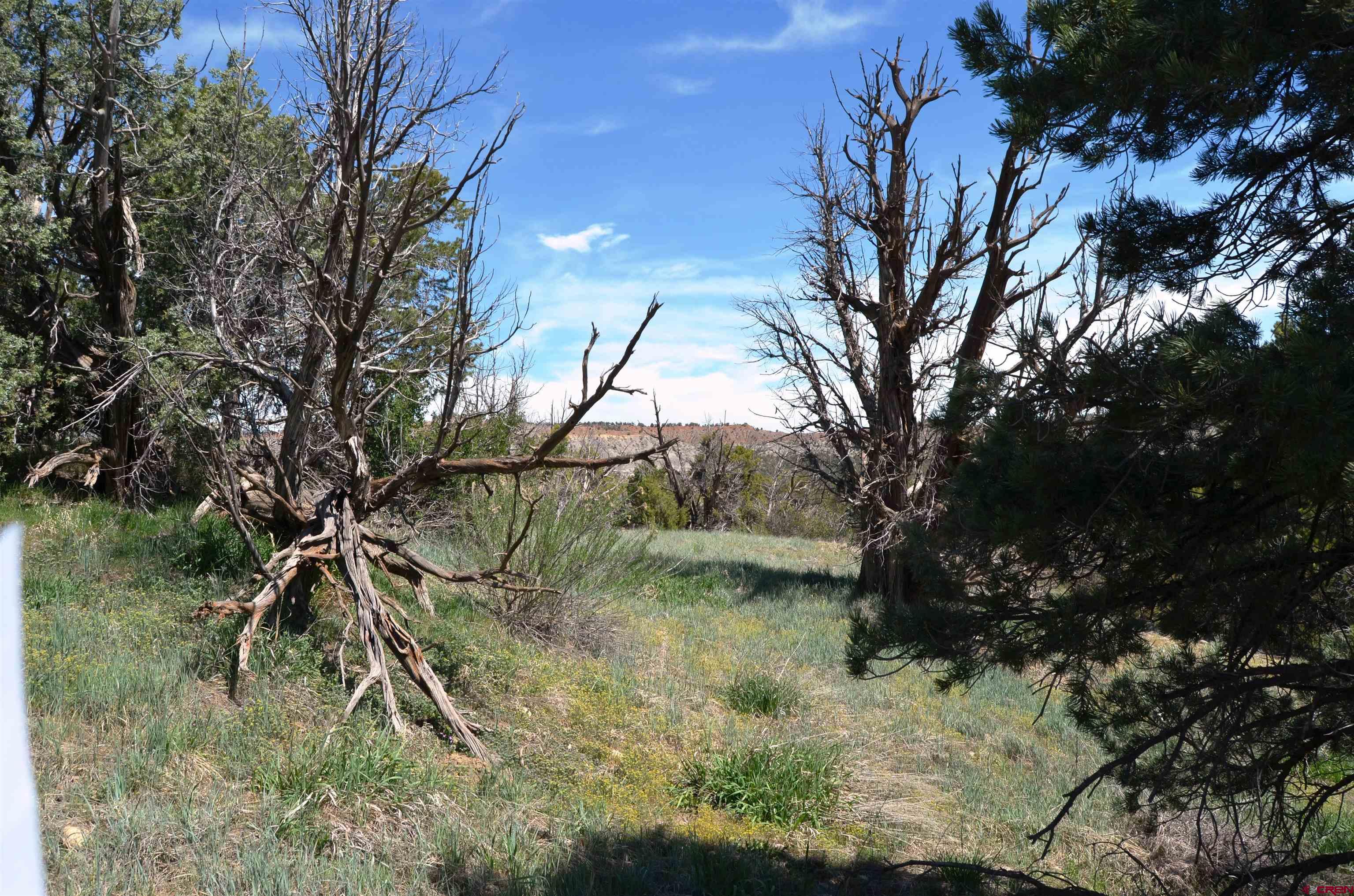 1477 La Posta Canyon Road Durango, CO 81303 - Photo 6 of 27 Gallery Image 6