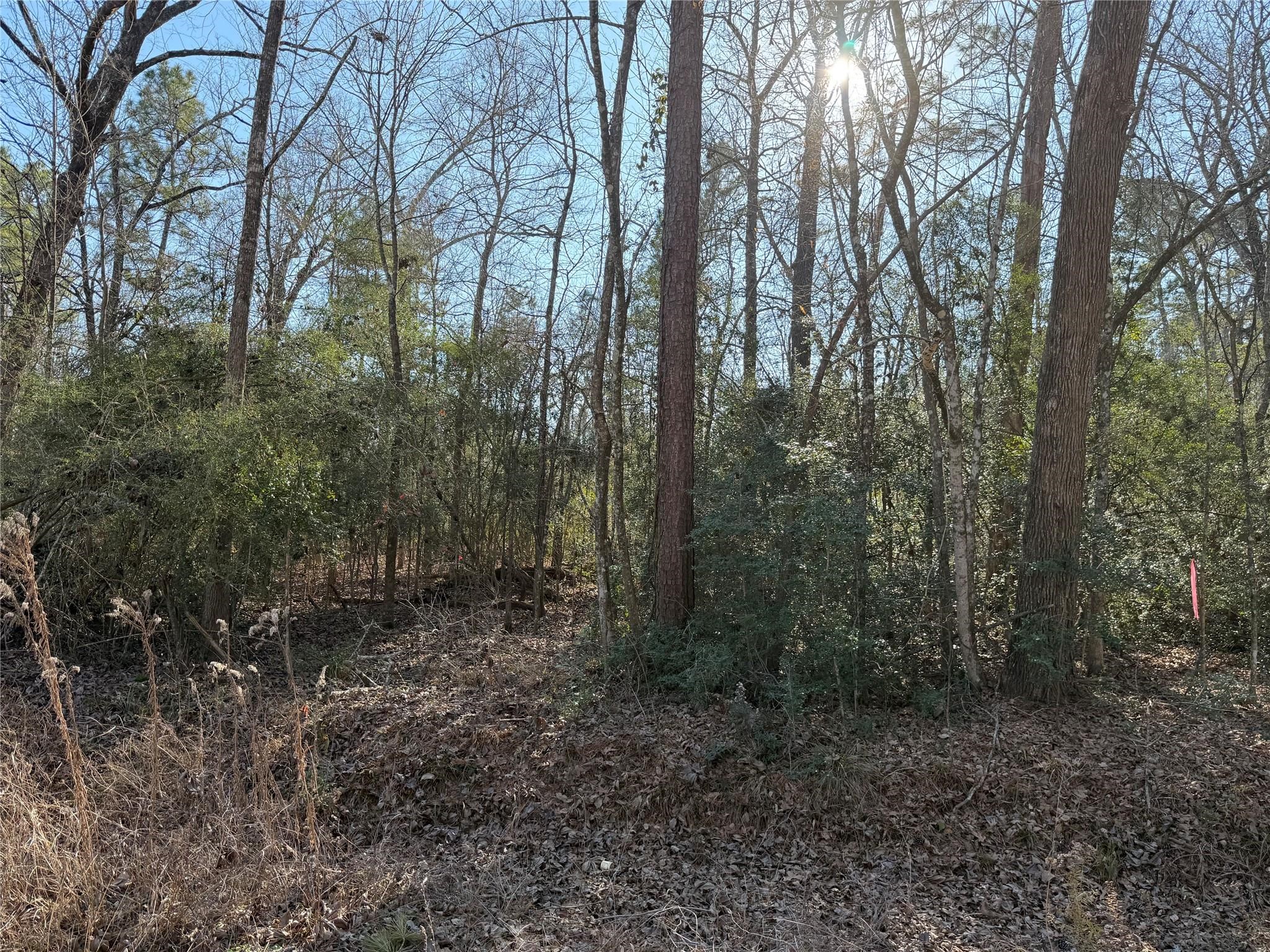 0 Josh Lane Trinity, TX 75862 - Photo 1 of 3