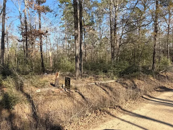 $3,000 | 0 Josh Lane, Trinity, TX 75862