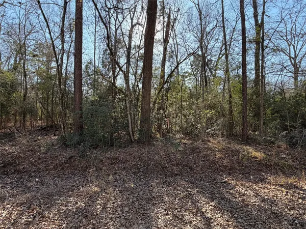 $3,000 | 0 Josh Lane, Trinity, TX 75862