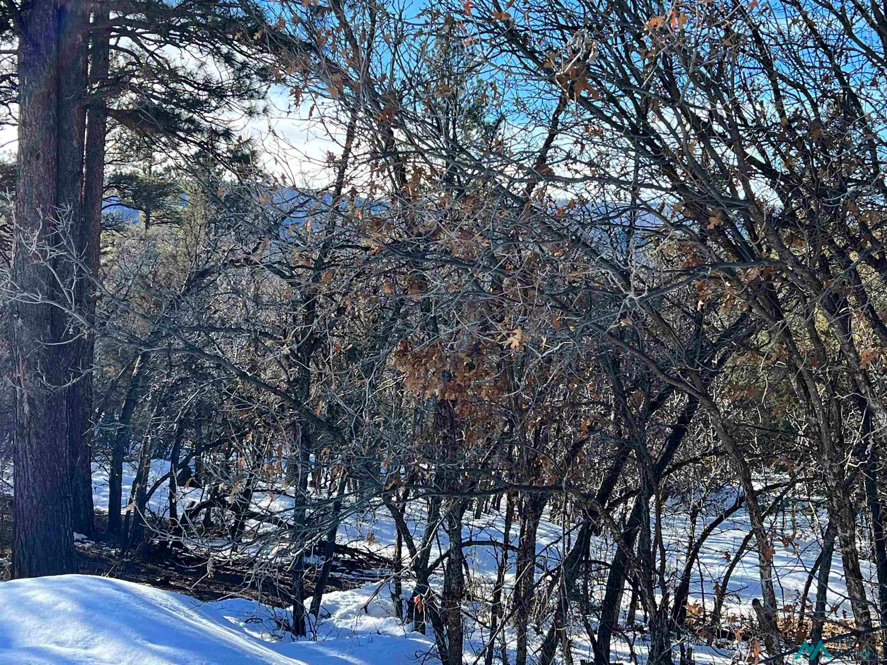 0 Lot 14 Brazos Road Chama, NM 87520 - Photo 3 of 4 Mountain view