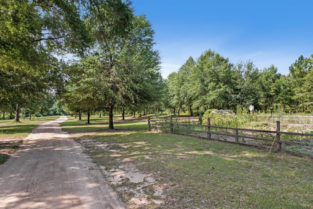 2480 South Springhill Road Gordon, AL 36343 - Photo 92 of 114