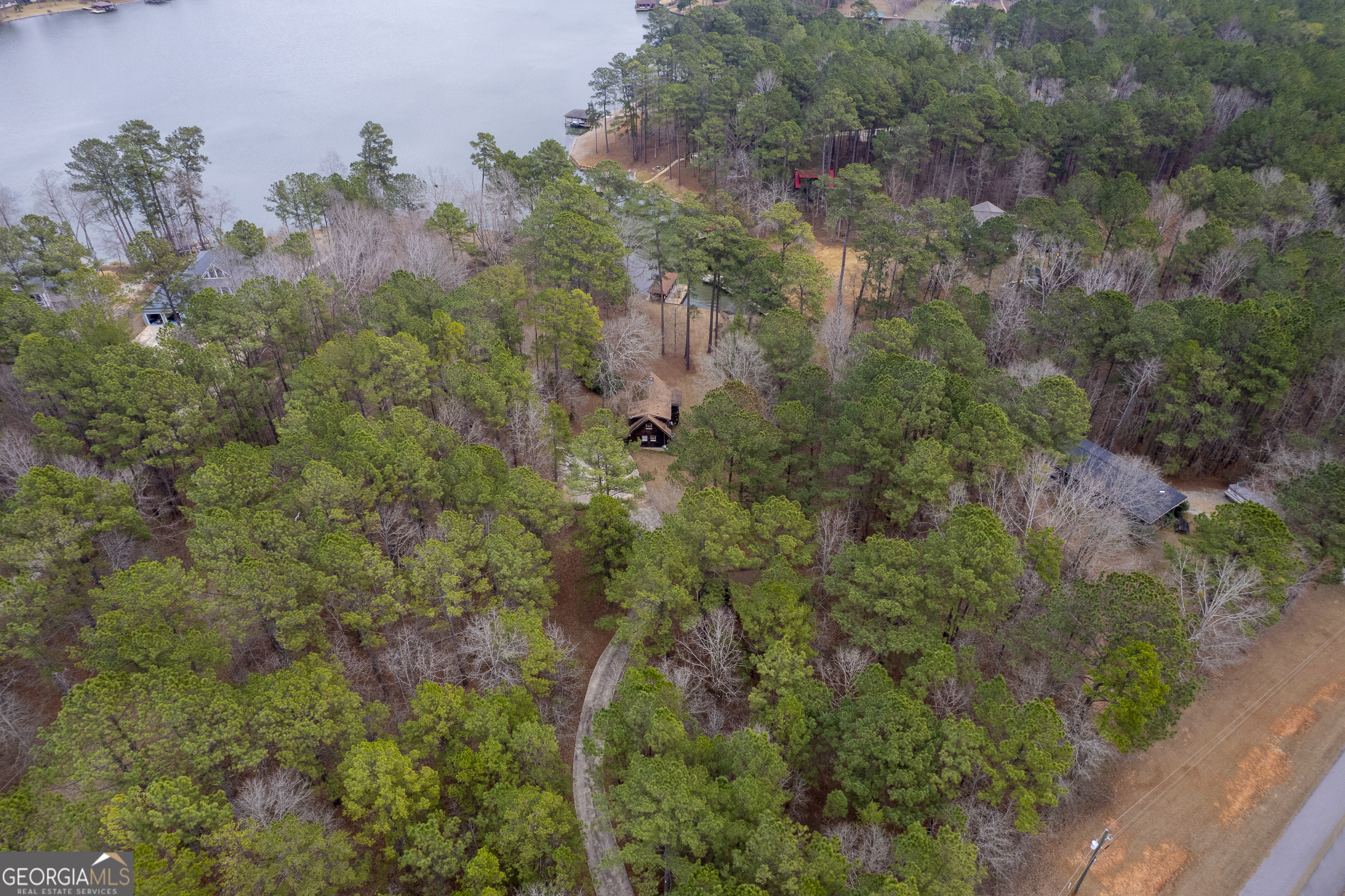 1011 Sandy Run Drive Sparta, GA 31087 - Photo 33 of 39 an aerial view of a houses with yard
