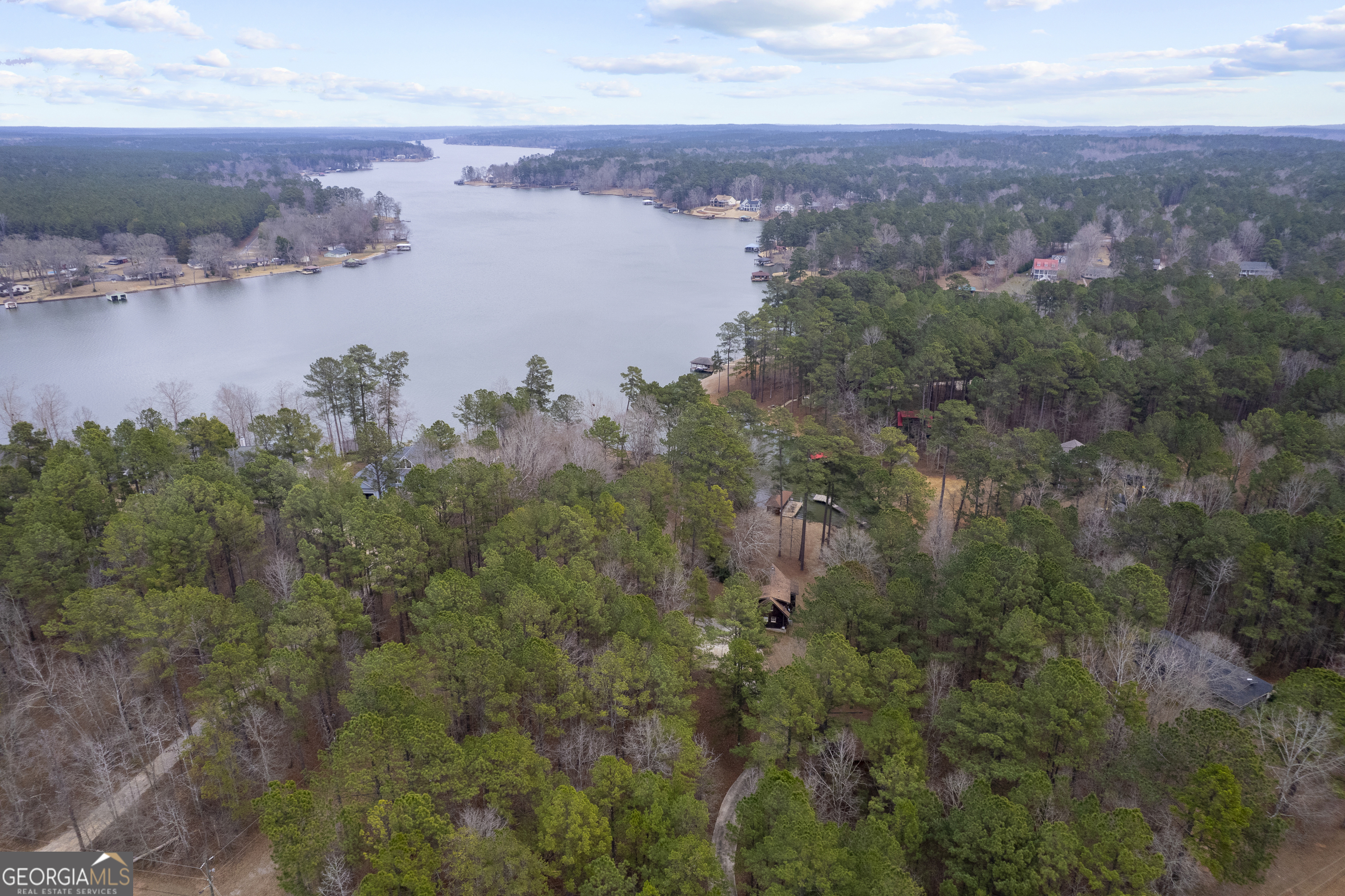 1011 Sandy Run Drive Sparta, GA 31087 - Photo 34 of 39 an aerial view of a houses with a lake