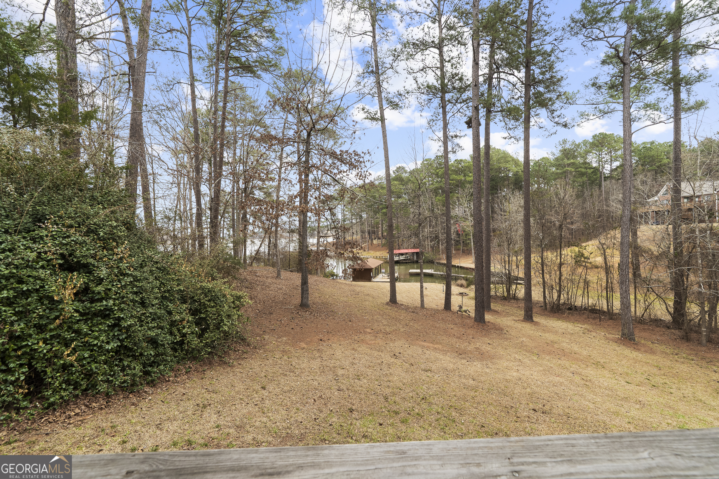 1011 Sandy Run Drive Sparta, GA 31087 - Photo 8 of 39 a view of a park with large trees