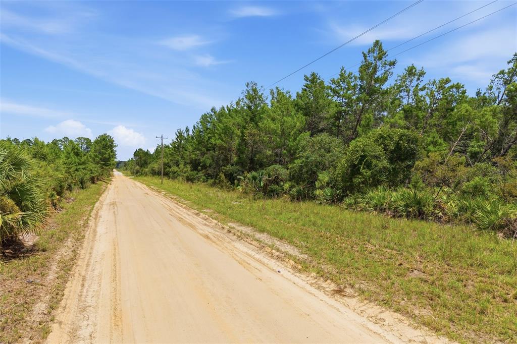 70 Maggie Jones Road Eustis, FL 32736 - Photo 4 of 10