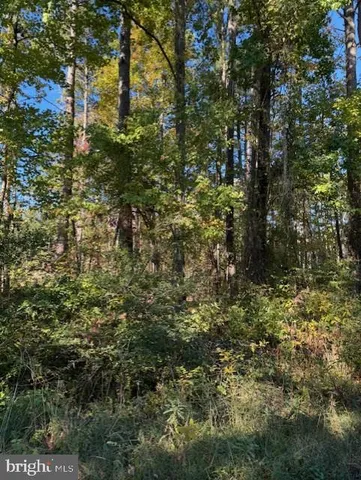 $110,000 | Lot 8 Ackerman Court, Stevensville, MD 21666