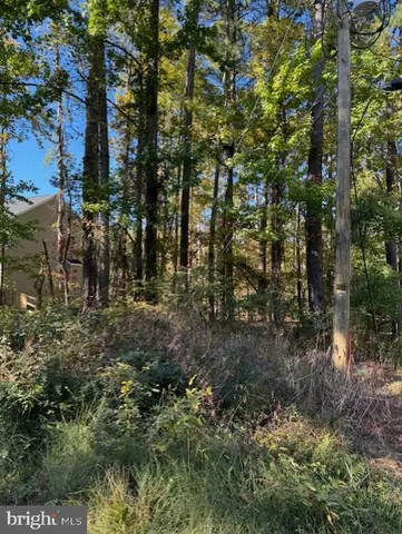 $110,000 | Lot 8 Ackerman Court, Stevensville, MD 21666