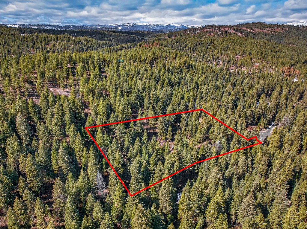 Lot 19 Little Salmon Road, Unit 19 New Meadows, ID 83654 - Photo 32 of 37