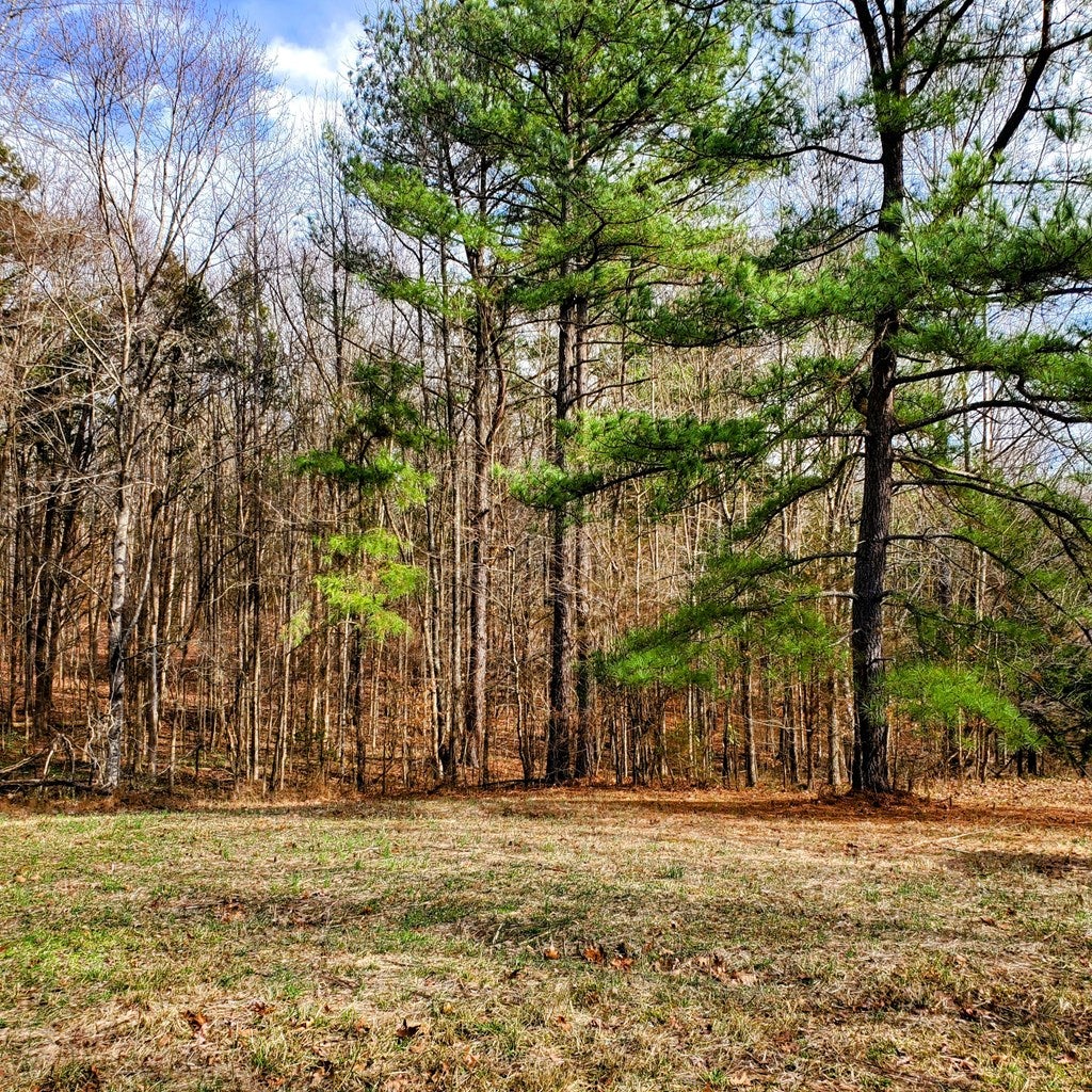 755 Allgood Road Chase City, VA 23924 - Photo 30 of 35 Gallery Image 30