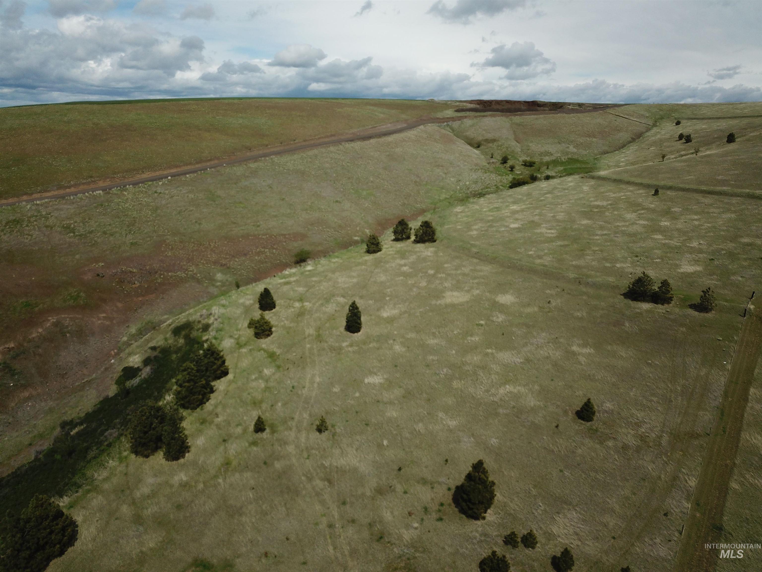 659 Linville Gulch Road Pomeroy, WA 99347 - Photo 1 of 1 Gallery Image 1