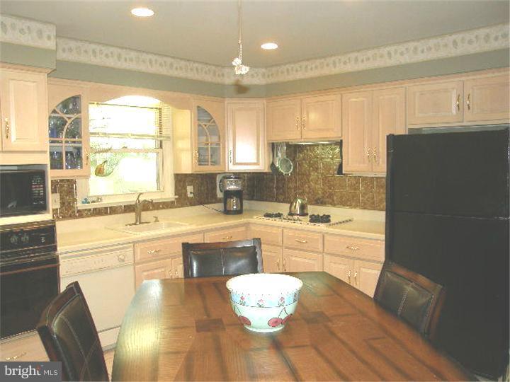 1335 Slayton Drive Ambler, PA 19002 - Photo 3 of 25 Kitchen