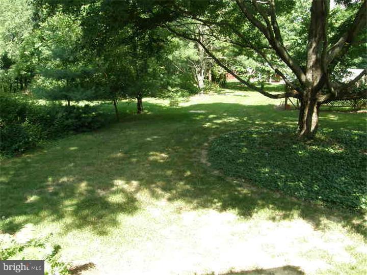 1335 Slayton Drive Ambler, PA 19002 - Photo 24 of 25 Back Yard