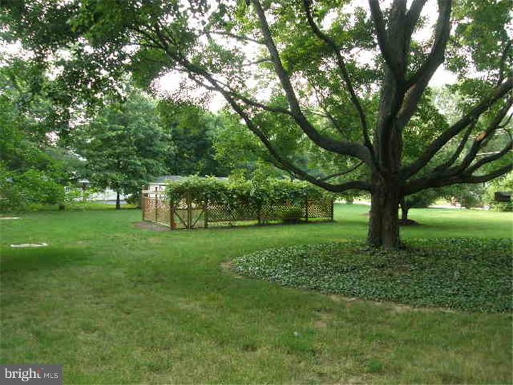 1335 Slayton Drive Ambler, PA 19002 - Photo 10 of 25 Back Yard