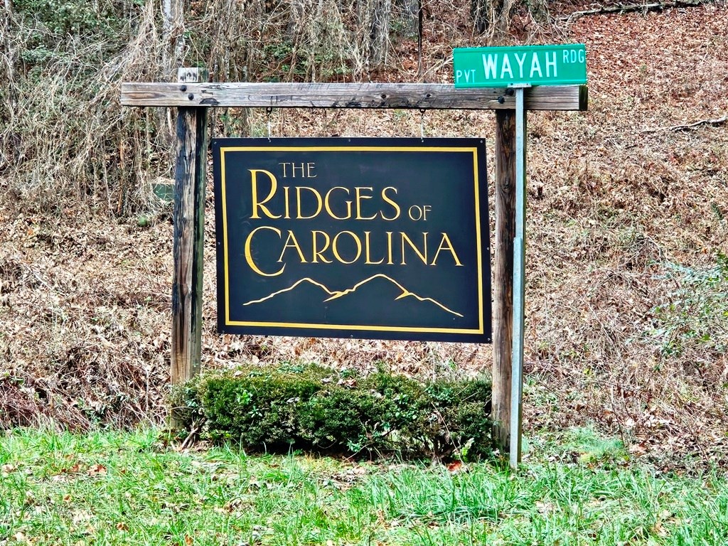 Lot 48 Wayah Ridge Murphy, NC 28906 - Photo 17 of 20 Gallery Image 17