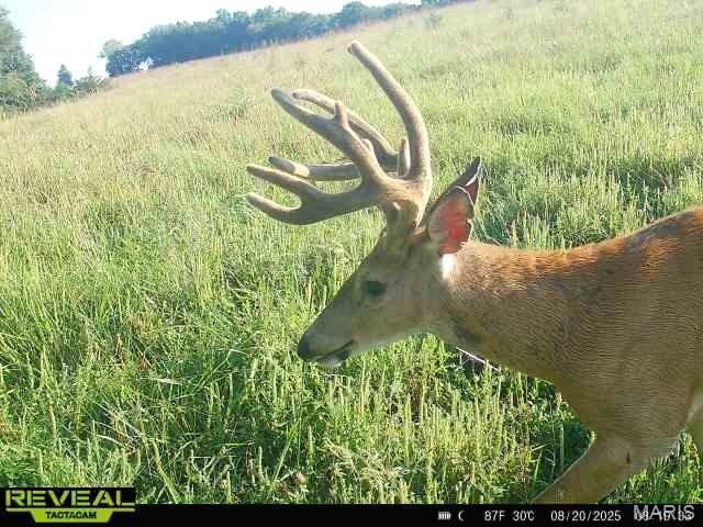 0 Sand Creek Bottom Road Greentop, MO 63546 - Photo 21 of 52