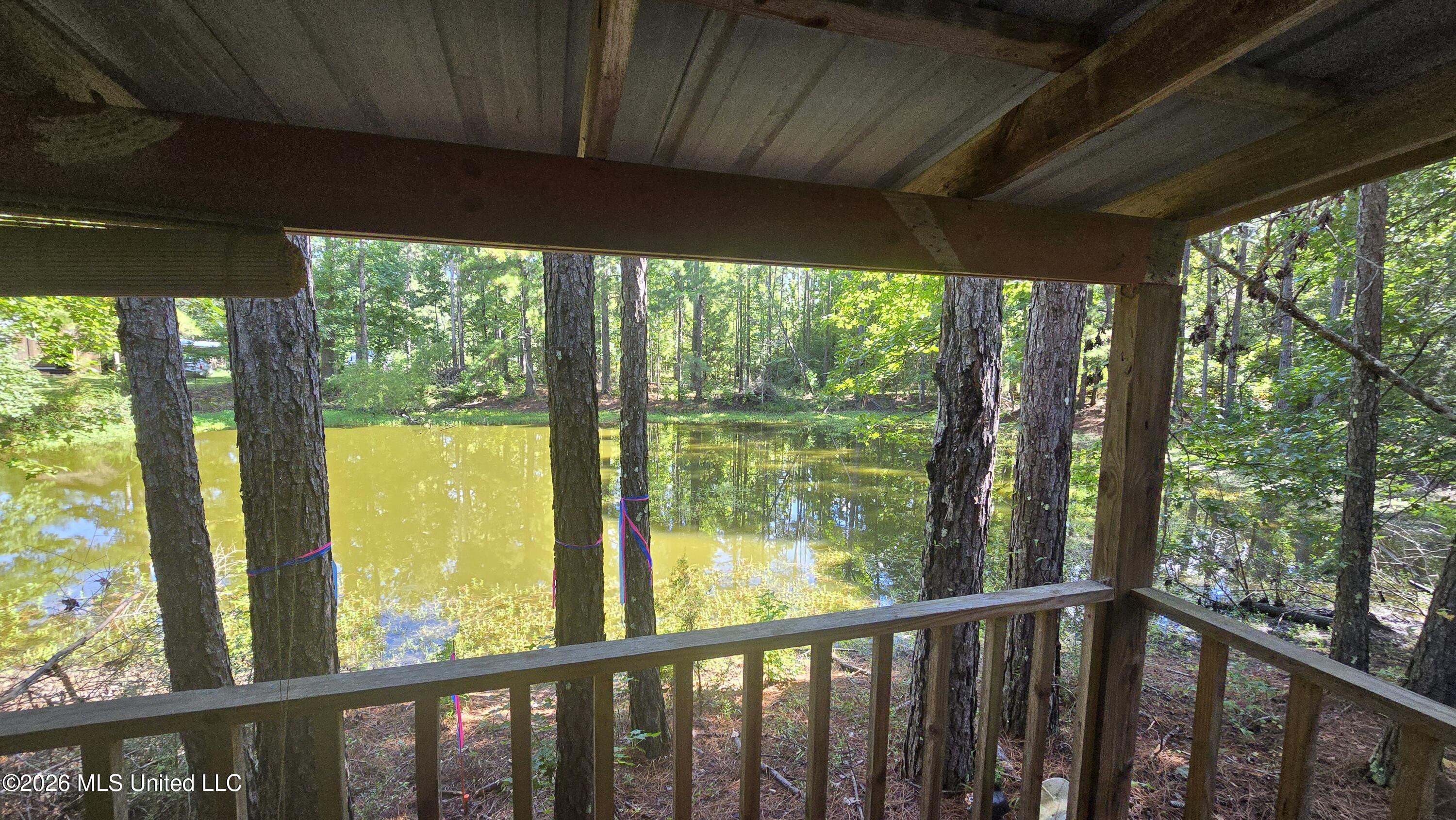 3190 Northeast Quentin Tower Road McCall Creek, MS 39647 - Photo 5 of 33 20260811_100359