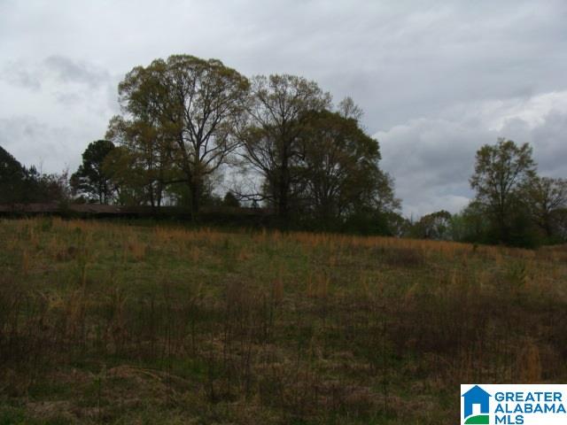 406 Caffe Ridge, Unit PARCEL Woodstock, AL 35188 - Photo 5 of 30