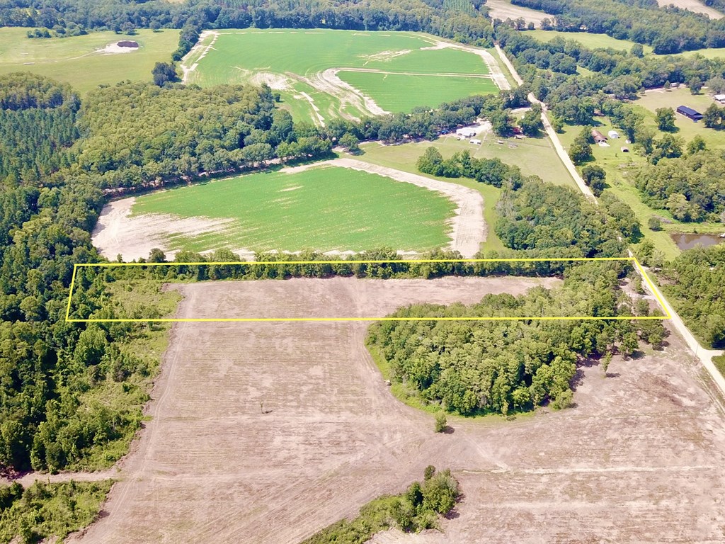 L1 New Hinson Road Slocomb, AL 36375 - Photo 4 of 30