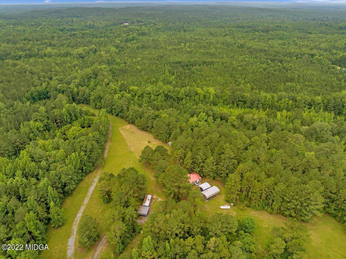 3401 Whitaker Road Roberta, GA 31078 - Photo 22 of 39 a view of a big yard with lots of trees
