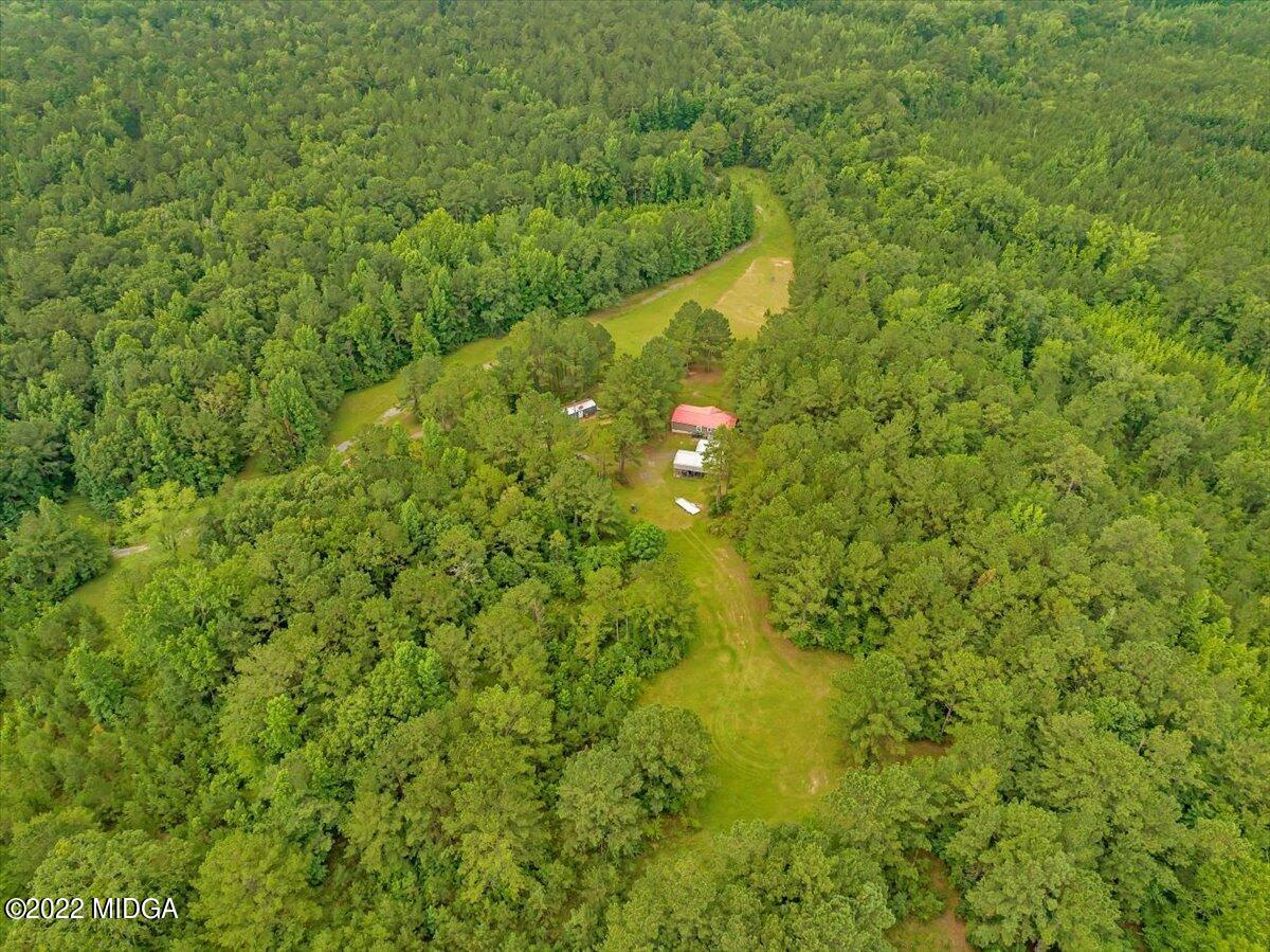 3401 Whitaker Road Roberta, GA 31078 - Photo 23 of 39 a view of a big yard with large trees