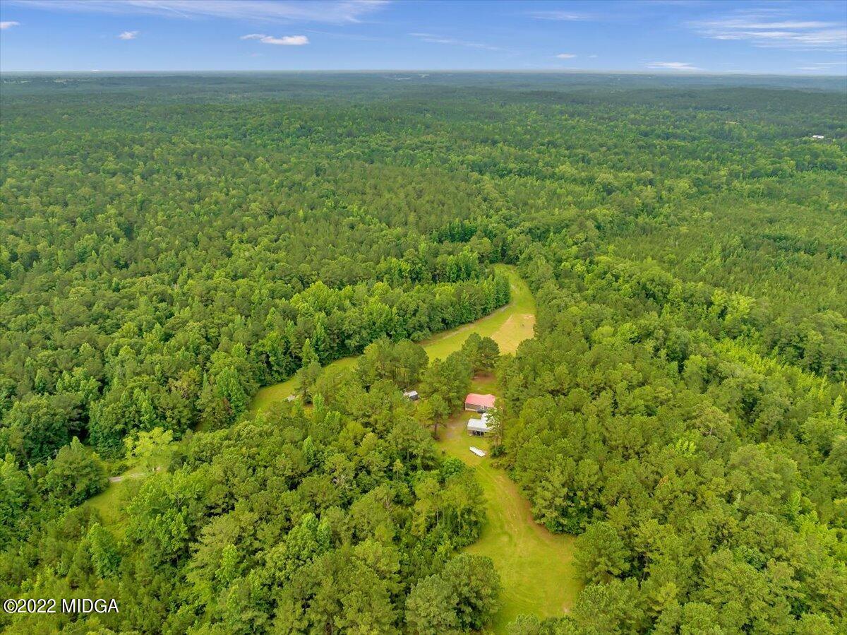 3401 Whitaker Road Roberta, GA 31078 - Photo 24 of 39 a view of yard with green space