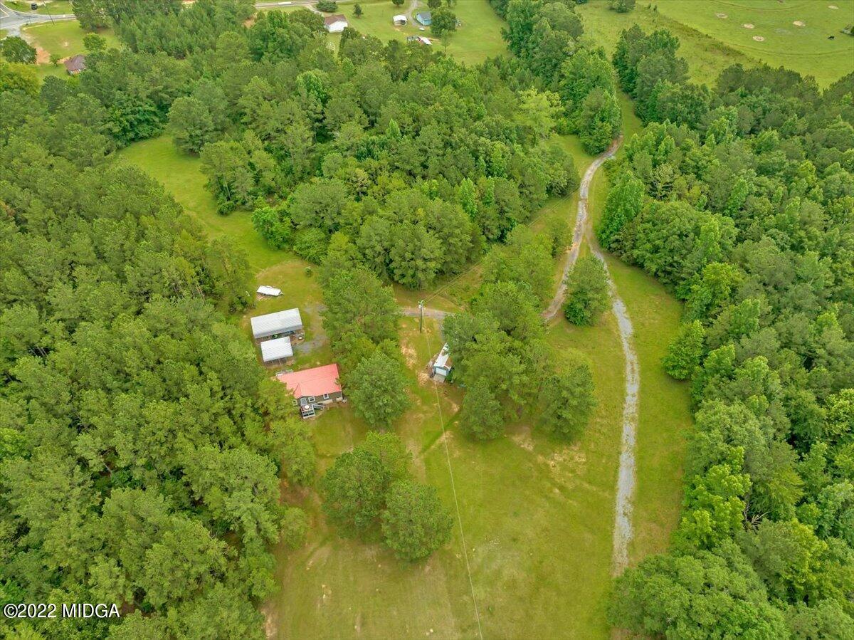 3401 Whitaker Road Roberta, GA 31078 - Photo 27 of 39 a view of a tree with a yard