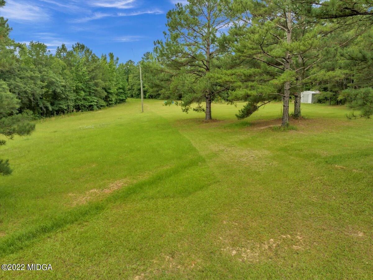 3401 Whitaker Road Roberta, GA 31078 - Photo 36 of 39 a view of yard with green space and trees