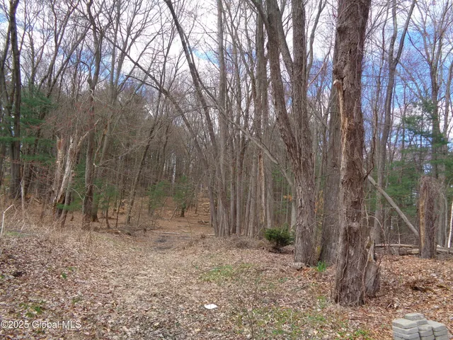 $84,900 | L17.12 Helderberg Avenue, Rotterdam, NY 12306