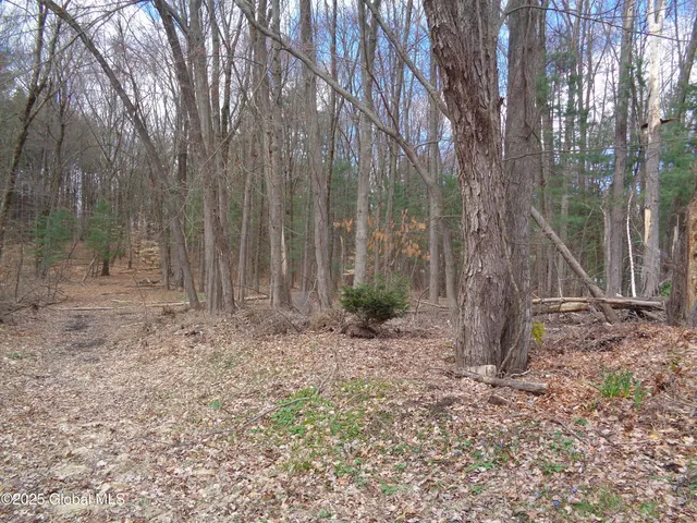 $84,900 | L17.12 Helderberg Avenue, Rotterdam, NY 12306