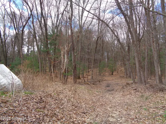 $84,900 | L17.12 Helderberg Avenue, Rotterdam, NY 12306