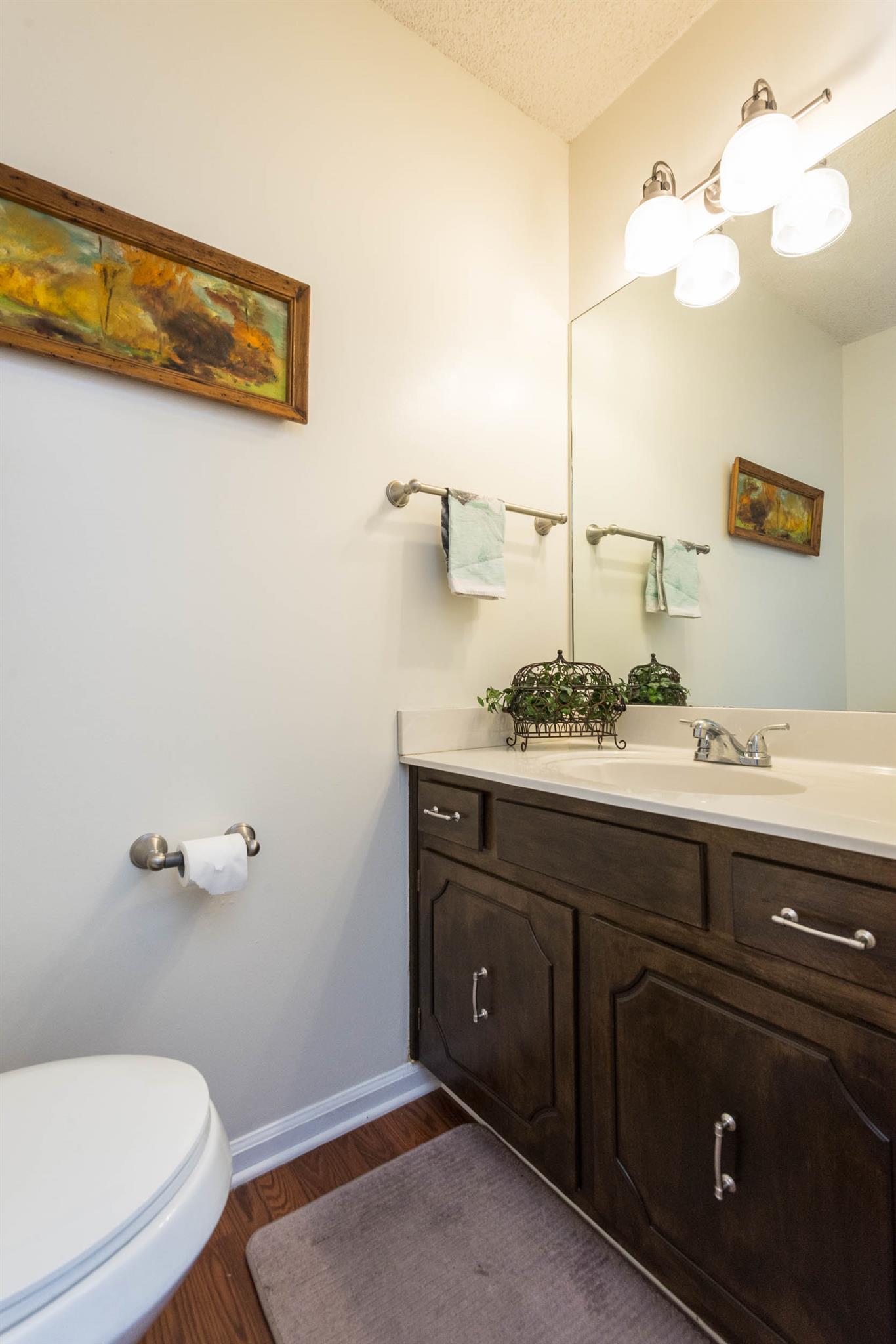 316 Cedarcliff Road Antioch, TN 37013 - Photo 20 of 27 a bathroom with a sink a toilet and mirror