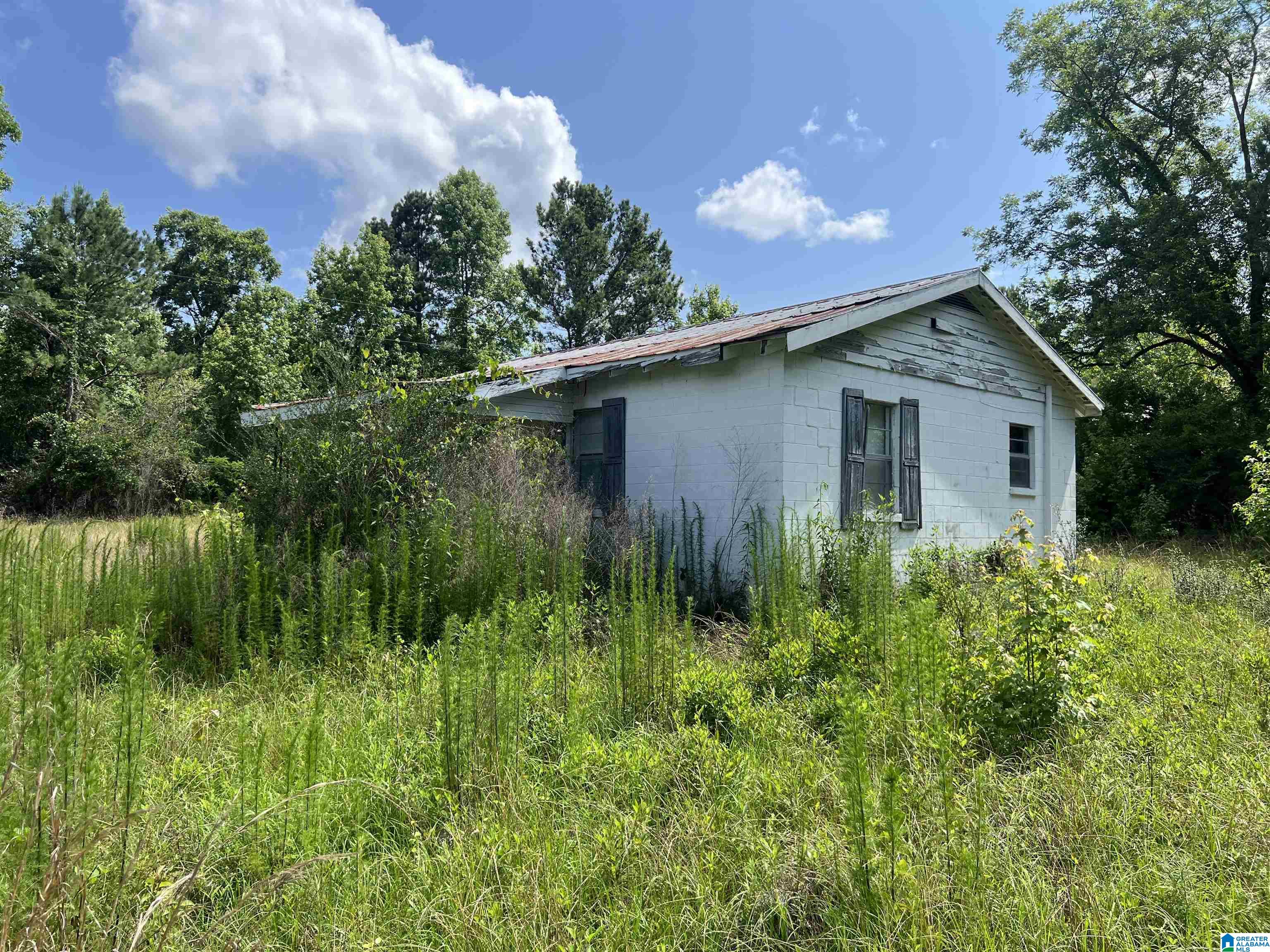 4795 Highway 239 Banks, AL 36005 - Photo 1 of 4