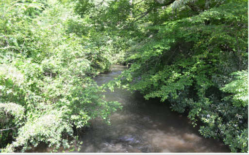 77 Ac Murphy, NC 28906 - Photo 1 of 1 Main View